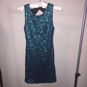 Fitted Sequin Dress
